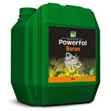 Паверфол Борон (20л)