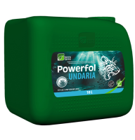 Паверфол Ундарія (10л)