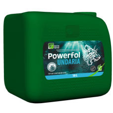 Паверфол Ундарія (10л)