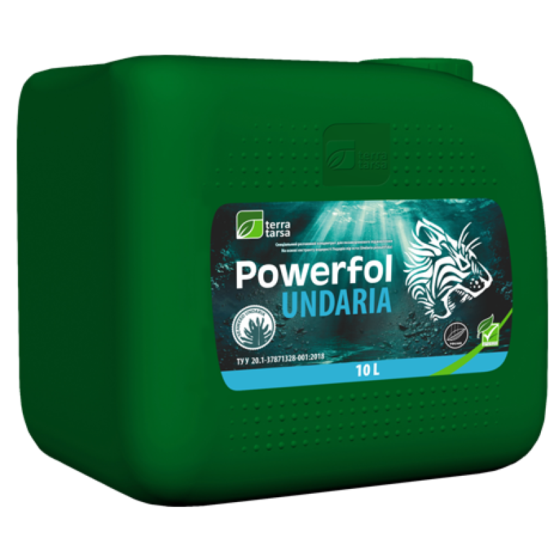 Паверфол Ундарія (10л)