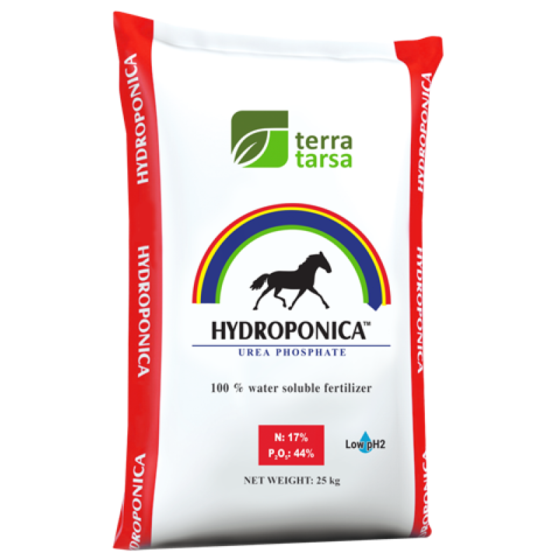 Фосфат сечовини